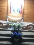 IMG_7680.jpg