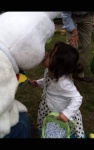 egghunt1.jpg